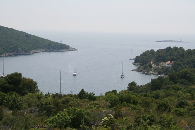gal/cro 08/small-IMG_4644.JPG